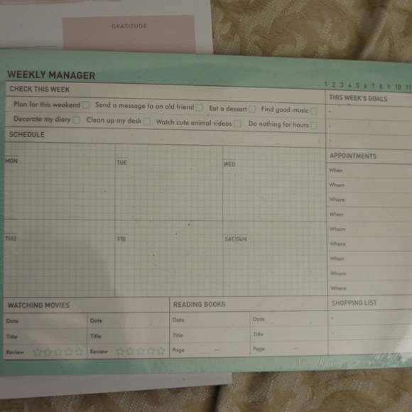 LOT: Paperian Daily + Weekly Undated Desk Planner - Picture 7 of 9